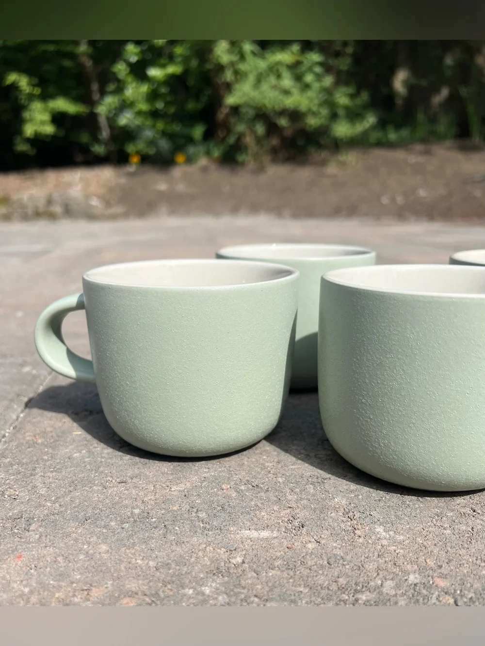 West Elm Kaloh Stoneware Mugs — Sage Green, Set of 4 by Aaron Probyn